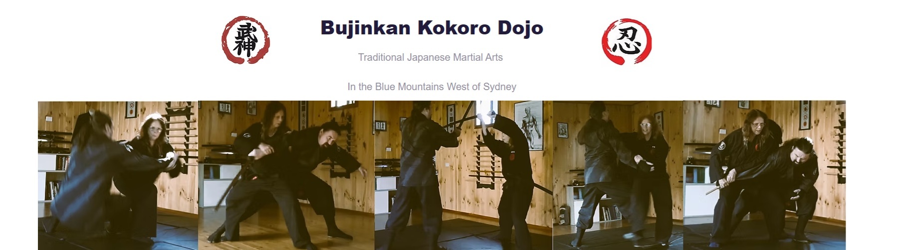 bujinkankokorodojo.net